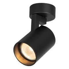 светильник для внутреннего освещения, черный цена и информация | Потолочные светильники | 220.lv