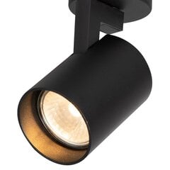 Milagro griestu lampa Volf ML0675 cena un informācija | Griestu lampas | 220.lv