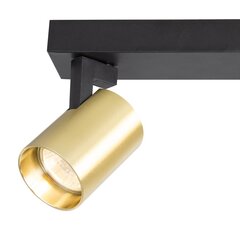 gaismeklis volf spot gold - 2xgu10 cena un informācija | Griestu lampas | 220.lv