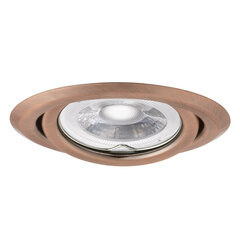 Argus griestu lampa II CT-2115 AN cena un informācija | Griestu lampas | 220.lv