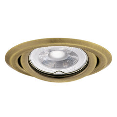 Argus griestu lampa II CT-2115 BR/M cena un informācija | Griestu lampas | 220.lv