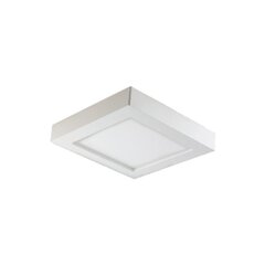 LED gaismeklis 12W 3000K cena un informācija | Griestu lampas | 220.lv