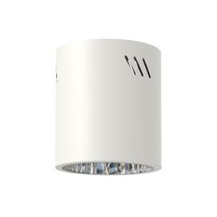 светильник для помещений xl 1xe27, белый цена и информация | Потолочные светильники | 220.lv
