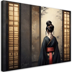 Gleznieciba uz audekla, Japāņu geiša cena un informācija | Gleznas | 220.lv