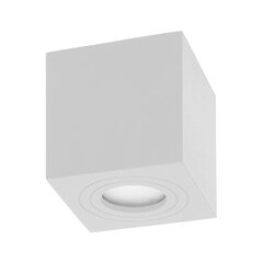 Квадратный светильник MEGY DLS белый OR-OD-6143WGU10 цена и информация | Потолочные светильники | 220.lv