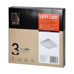 LED gaismeklis 24W 4000K цена и информация | Потолочные светильники | 220.lv