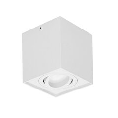 Квадратный светильник CAROLIN DLS белый OR-OD-6145WGU10 цена и информация | Потолочные светильники | 220.lv