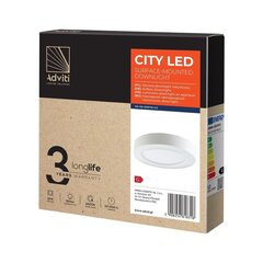 LED uzgaismotājs virszemes gaismeklim CITY 12W 3000K apļveida gaismeklis CITY 12W 3000K cena un informācija | Griestu lampas | 220.lv