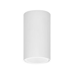 Barbra griestu lampa DLR cena un informācija | Griestu lampas | 220.lv