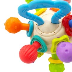Разноцветная погремушка в форме шара 2 в 1, Woopie Baby цена и информация | Игрушки для малышей | 220.lv