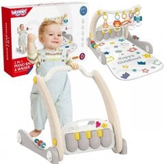Игровой коврик и горка 2 в 1 со звуковыми эффектами, серый, Woopie Baby цена и информация | Игрушки для малышей | 220.lv