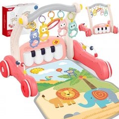 Игровой коврик и горка 2 в 1 со звуковыми эффектами, розовый, Woopie Baby цена и информация | Игрушки для малышей | 220.lv