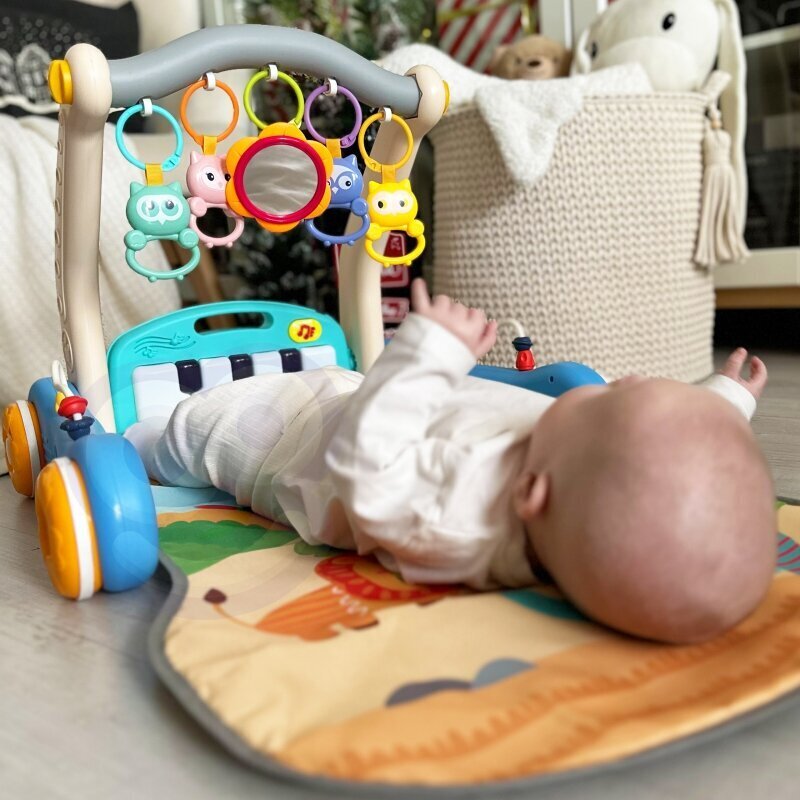 WOOPIE BABY 2in1 rotaļu paklājiņš un slidkalniņš ar skaņas efektiem, zils cena un informācija | Rotaļlietas zīdaiņiem | 220.lv