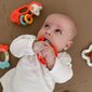 Zobu un grabulīšu komplekts, Woopie Baby, 4 gab. цена и информация | Rotaļlietas zīdaiņiem | 220.lv