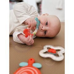 Набор прорезывателей и погремушек, Woopie Baby, 4 шт цена и информация | Игрушки для малышей | 220.lv