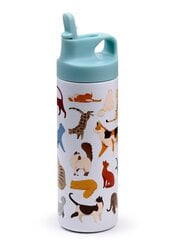 Бутылка для горячих и холодных напитков Feline Fine Cats с выдвижной крышкой, 500 мл цена и информация | Бутылки для воды | 220.lv