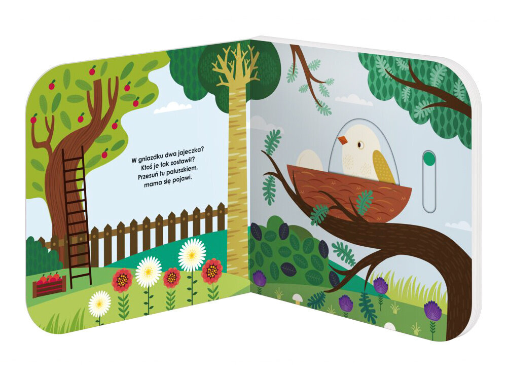 Grāmata bērniem, Kas dzīvo dārzā? цена и информация | Grāmatas mazuļiem | 220.lv