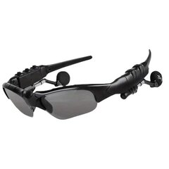 Очки Deal с встроенными наушниками цена и информация | Солнцезащитные очки для мужчин | 220.lv