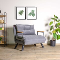 1 sėdynės sofa-lova Sando Single - Grey цена и информация | Кресла в гостиную | 220.lv