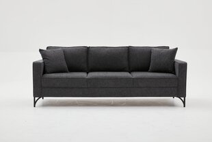 Trīsvietīgs dīvāns Atelier Del Sofa Berlin, pelēks cena un informācija | Dīvāni | 220.lv