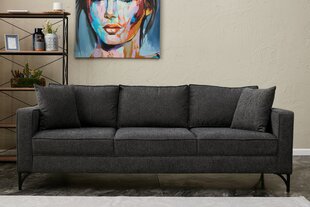 Trīsvietīgs dīvāns Atelier Del Sofa Berlin, pelēks cena un informācija | Dīvāni | 220.lv
