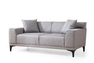 Divvietīgs dīvāns Atelier Del Sofa Petra 2, pelēks cena un informācija | Dīvāni | 220.lv