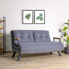 2 vietų sofa-lova Sando 2-Seater - Grey цена и информация | Диваны | 220.lv