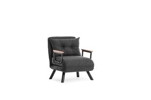 1 sėdynės sofa-lova Sando Single - Dark Grey цена и информация | Кресла в гостиную | 220.lv