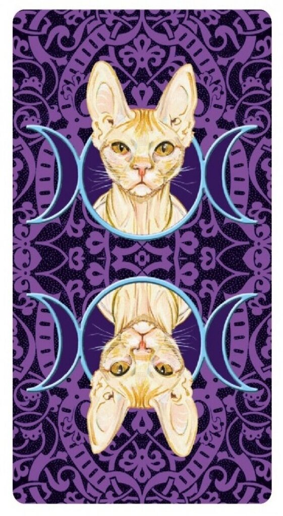 Taro kārtis Tarot Of Pagan Cats cena un informācija | Ezotērika | 220.lv