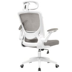 Офисное компьютерное кресло Harmony Hill's AT382, белое/серое цена и информация | Офисные кресла | 220.lv