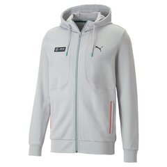 Мужской джемпер Puma, серый. цена и информация | Мужские толстовки | 220.lv