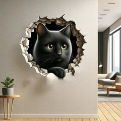 3D наклейка на стену - кот в иллюзии трещины цена и информация | Декоративные наклейки | 220.lv