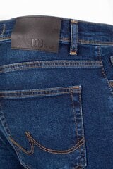 Джинсы Ltb Jeans 1009515001472253990-31/30 цена и информация | Мужские джинсы | 220.lv