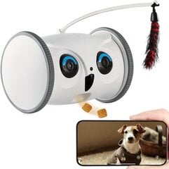 Интерактивная игрушка с дозатором лакомств для животных цена и информация | Игрушки для собак | 220.lv