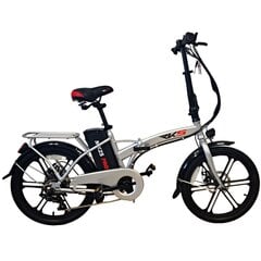 Электрический велосипед RKS 20 MX25 Pro серый цена и информация | Электровелосипеды | 220.lv