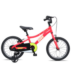 Детский велосипед GoKidy 16 Dude (DUD.1603) красный цена и информация | Велосипеды | 220.lv