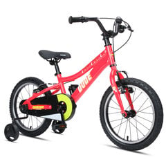 Детский велосипед GoKidy 16 Dude (DUD.1603) красный цена и информация | Велосипеды | 220.lv