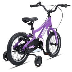 Детский велосипед GoKidy 14 Dude (DUD.1404) фиолетовый цена и информация | Велосипеды | 220.lv