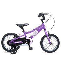 Детский велосипед GoKidy 14 Dude (DUD.1404) фиолетовый цена и информация | Велосипеды | 220.lv