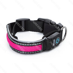 USB uzlādējama LED kaklasiksna suņiem 51 - 61 cm, rozā cena un informācija | Apkakles, siksnas suņiem | 220.lv