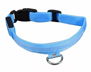LED kakla siksna suņiem, 40-47 cm – Zila cena un informācija | Apkakles, siksnas suņiem | 220.lv