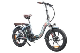 Elektriskais velosipēds Fafrees F20 Pro, 20", gaiši zaļš, 250W, 18Ah cena un informācija | Elektrovelosipēdi | 220.lv