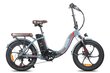 Elektriskais velosipēds Fafrees F20 Pro, 20", gaiši zaļš, 250W, 18Ah цена и информация | Elektrovelosipēdi | 220.lv