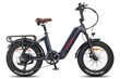 Elektriskais velosipēds Fafrees F20 Master, 20", pelēks, 500W, 22,5Ah cena un informācija | Elektrovelosipēdi | 220.lv