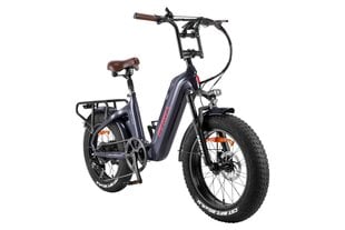 Elektriskais velosipēds Fafrees F20 Master, 20", pelēks, 500W, 22,5Ah cena un informācija | Elektrovelosipēdi | 220.lv