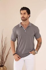 Мужская рубашка-поло Plilima, серая цена и информация | Мужские футболки | 220.lv