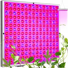 225 LED лампа для выращивания растений, 36 Вт цена и информация | Проращиватели, лампы для растений | 220.lv