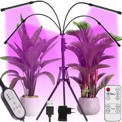 4 x 80 LED augu audzēšanas lampa Gardlov 34 W cena un informācija | Diedzēšanas trauki, augu lampas | 220.lv