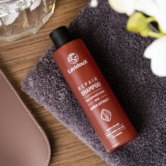 Atjaunojošs šampūns bojātiem matiem, ar keratīnu un kolagēnu, Repair Shampoo LavidouX, 250ml cena un informācija | Šampūni | 220.lv