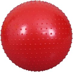 Резиновый мяч для фитнеса цена и информация | Гимнастические мячи | 220.lv